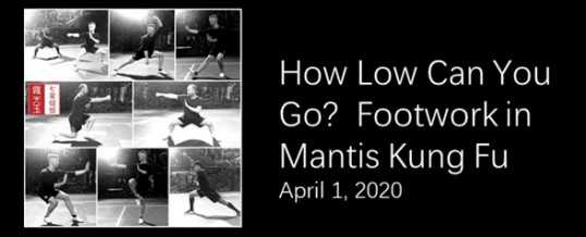 Footwork in Seven Star Mantis Kung Fu