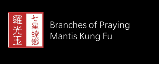 Branches of Mantis Kung Fu