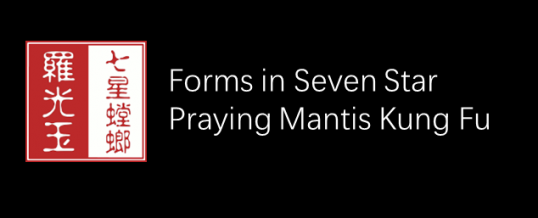 Forms Training in Seven Star Praying Mantis Kung Fu