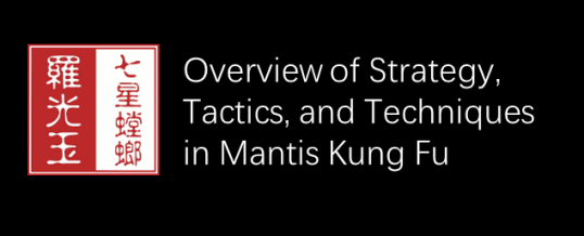 Strategy, Tactics, and Techniques